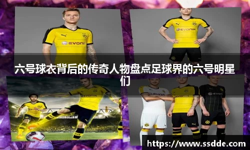 六号球衣背后的传奇人物盘点足球界的六号明星们